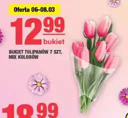 EuroSPAR Bukiet tulipanów oferta