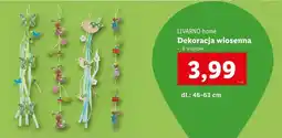 Lidl Dekoracja Livarno oferta