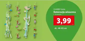 Lidl Dekoracja Livarno oferta