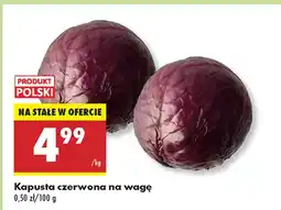 Biedronka Kapusta czerwona Polski oferta