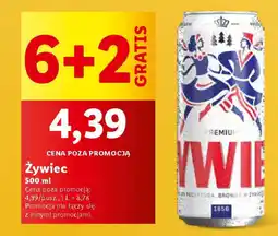 Lidl Żywiec oferta