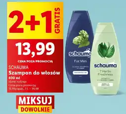 Lidl Schauma szampon do włosów oferta