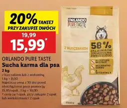 Lidl Orlando pure taste sucha karma dla psa oferta