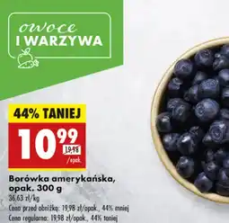 Biedronka Borówka amerykańska oferta