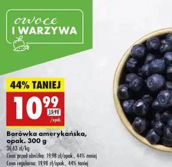 Biedronka Borówka amerykańska oferta