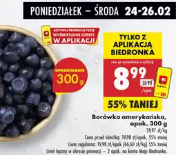 Biedronka Borówka amerykańska oferta