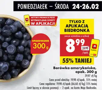 Biedronka Borówka amerykańska oferta