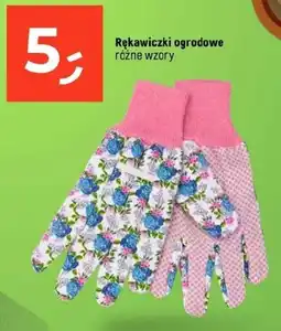 Dealz Rękawiczki ogrodowe oferta