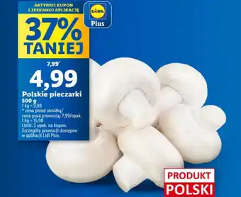 Lidl Polskie pieczarki oferta