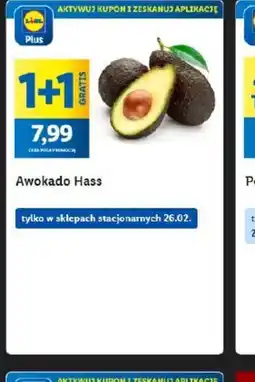 Lidl Awokado Hass oferta