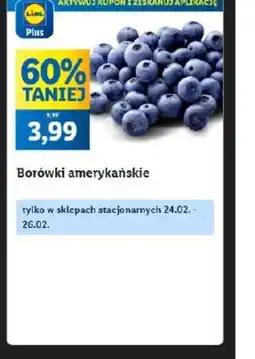 Lidl Borówki amerykańskie oferta