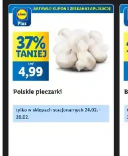 Lidl Polskie pieczarki oferta