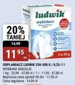 bi1 Odplamiacz ludwik oferta