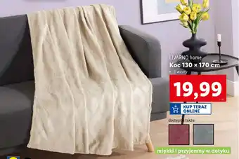 Lidl LIVARNO home Koc oferta