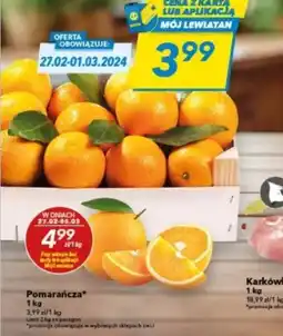 Lewiatan Pomarańcza oferta