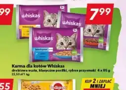 Lewiatan Karma dla kotów Whiskas oferta