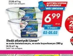 Lewiatan Sledź atlantycki Lisner oferta