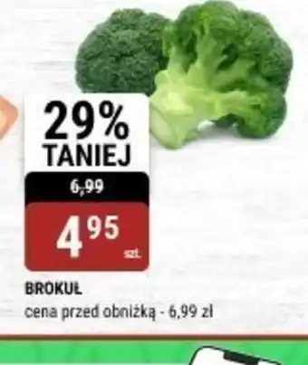 bi1 Brokuł oferta