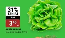 bi1 Sałata masłowa oferta