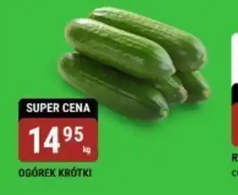 bi1 Ogórek krótki oferta