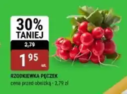 bi1 Rzodkiewka pęczek oferta