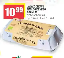 Spar Jaja z chowu ekologicznego rozm. m oferta