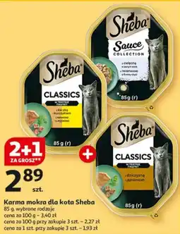 Auchan Karma mokra dla kota Sheba oferta