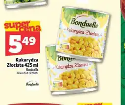 Topaz Kukurydza Złocista Bonduelle oferta