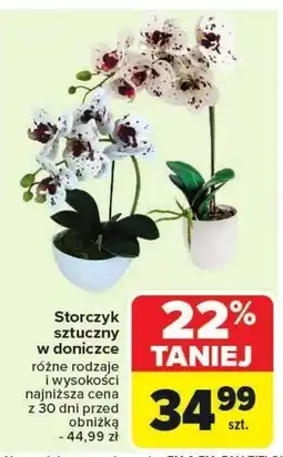 Carrefour Market Storczyk oferta