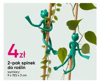 Pepco 2-pak spinek do roślin oferta