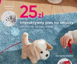 Pepco Interaktywny pies na smyczy oferta