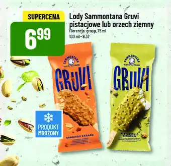 Polomarket Lód arachide SAMMONTANA GRUVI oferta