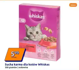 Action Sucha karma dla kotów Whiskas oferta