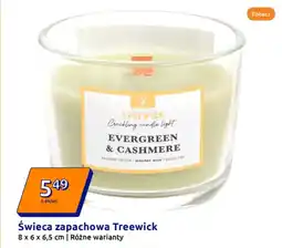 Action Świeca zapachowa Treewick oferta