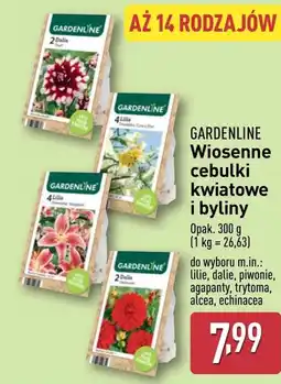 ALDI Cebulki kwiatowe Gardenline oferta