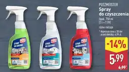 ALDI Spray do czyszczenia Putzmeister oferta