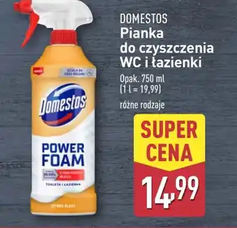 ALDI Pianka do czyszczenia Domestos oferta