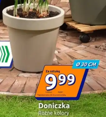 Action Doniczka oferta