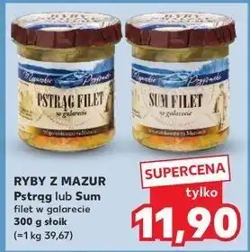 Kaufland Sum filet w galarecie Ryby Z Mazur oferta