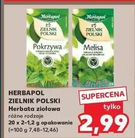 Kaufland Herbatka pokrzywa Herbapol Zielnik Polski oferta