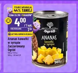 Polomarket Ananas Zaczarowany Ogród oferta