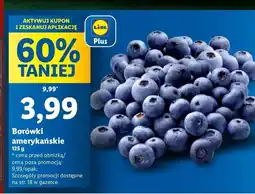 Lidl Borówka amerykańska oferta