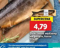 Lidl Dziki łosoś tusza oferta