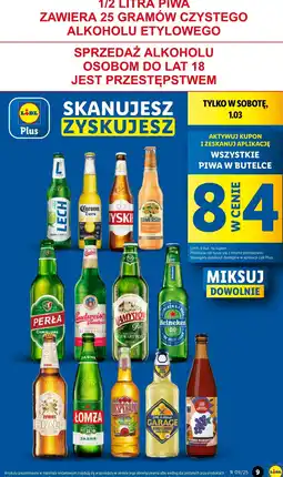 Lidl Piwo Browar Zakładowy Turbo Porzeczka oferta