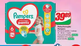 Dino Pieluchomajtki Pampers oferta