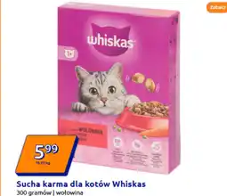 Action Karma dla kota Whiskas oferta