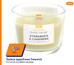 Action Świeca zapachowa Cashmere oferta