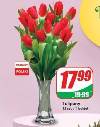 Dino Tulipany 15szt./bukiet oferta
