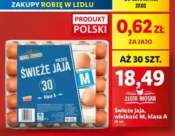 Lidl Jaja świeże kl. m Złota nioska oferta