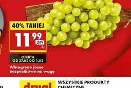 Biedronka Winogrono jasne bezpestkowe oferta